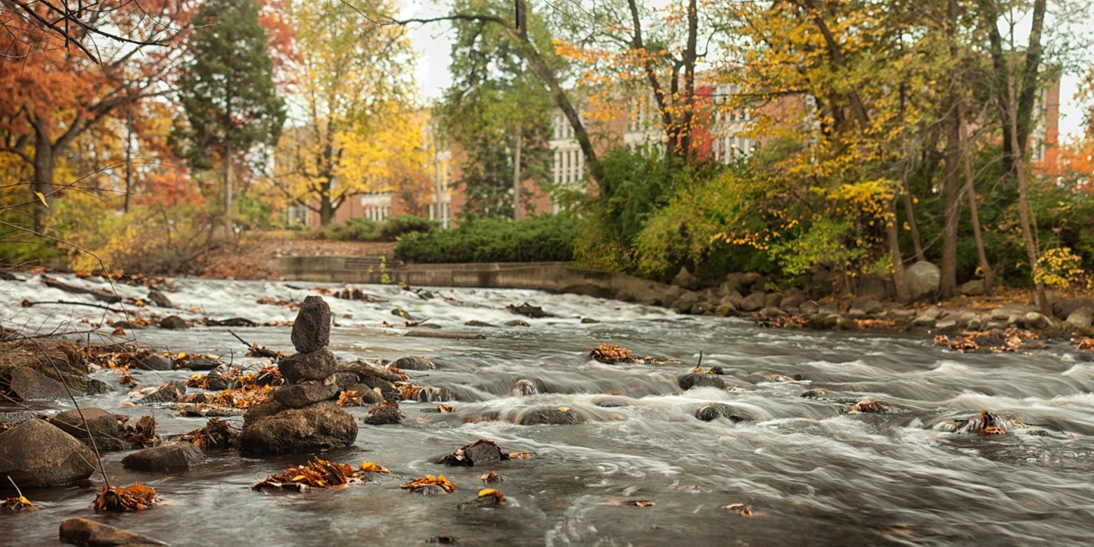 Red Cedar at Michigan State University